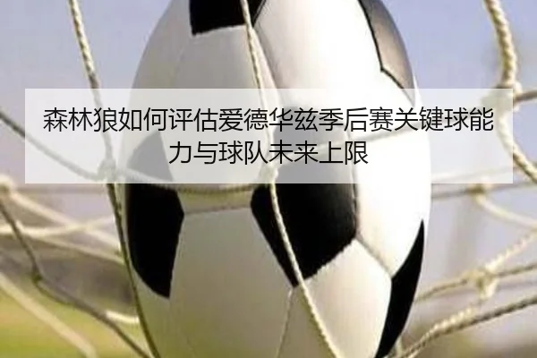 森林狼如何评估爱德华兹季后赛关键球能力与球队未来上限